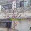 Q012704 white artificial tree no leaves ornamental size customized dry tree for decoration