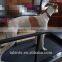 pet fitness machine/dog treadmill /dog products