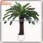 guangzhou supplier wholesale artificial cycas revoluta tree bonsai fake cycas revoluta