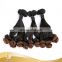 Wholesale Young Girl's Hair, Top Quality Double Drawn Funmi Human Hair