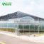 China  Hot Sale SHINEHWA Agricultural/Commercial Plastic Greenhouse