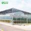 Low Price agricultural greenhouse /plastic film greenhouse/hydroponic greenhouse