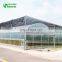 China easily to maintain low cost greenhouse commercial plastic vegetable greenhouse