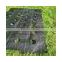110gsm UV addtion White weed mat ground cover with perforated holes for trees