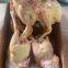 Frozen Whole Sanhuang Chicken Competitive Low Price High Quality