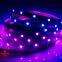 12V 30led 5m IP68 IP20 Waterproof DMX512  led strip 5m / roll LED Light Strip