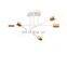 North Europe Creative Personality Iron Ceiling Chandelier For Bedroom Dining-Room