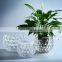 Creative Handmade Modern Tabletop Clear Spherical Round Small Size 10cm Hydroponics Crystal Glass Vase Home Decoration Holder