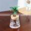 Hot Selling Christmas Gift Plastic Pots Hydroponics Planter Plant Plants Planters Indoor Self Watering Transparent Flower Pot