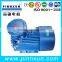 Professional Electric AC Motor with Explosion Proof Flame Proof Three Phase