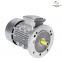 Good Performance Ie2 Ie3 Le4 Asynchronous Motor Ye3-180L-4-22kw Electric Motor with CE