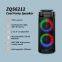 Hot sell ZQS6212 dual 6.5 inch speaker 20W power  wireless bluetooth speaker with colorful lights