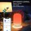 WiFi Smart Life Tuya App Control Night Light Children Sleep Aid Smart White Noise Soothing Sound Machine for Baby Adults