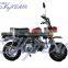SKYTEAM SKYMINI 50cc&125cc 4 Stroke Monkey Dax on Road Motorcycle (EEC EUROIII EURO3 Approval, 10' Alloy Rim, Monkey) Quality Choice