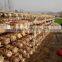 Flower White Mushroom Cultivation