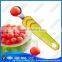 Different Type Fruit Measuring Cherry Corer