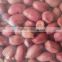 Chinese top quality Shandong red four kernels Peanut