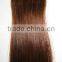 20 inch hot sell highest quality Brazilian human hair Tape Skin Weft
