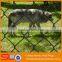 High Quality galvanized chain link fence wire mesh