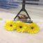 Cute Fresh Cut Gerbera Flower Preserved With Various Color