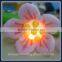 LED Inflatable Flowers Decorative Artificial Flower with Light