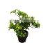 artificial 10-90cm bush/ fern/ grass/ decoration
