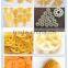 Hot Sale 2D/3D Snack Pellet/Snack Food Making Machine/Production Line/Plant/Equipment