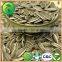 Health Food Scientific Name Of Seeds Sunflower