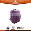 Best Purple Laptop Backpack for College Students