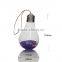 Clear Bulb Shape Hanging Wishing Glass Bottles,Glass Drift Jars With Message