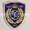 High Defination Unshaped Decorative Woven Patch With More Color Designs for School Clothing