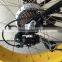 2016 popular 350W electric bike with fat tyres