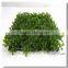 Plastic Grass Material Artificial Boxwood Mat Milan Grass Mat for Wall Decoration