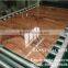 PVC Imitated Marble Wall Panel/HouseDecoration Machine/Production Line