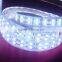 120led/m 14.4w/m IP33 IP65 PI68 low voltage 5050 double side different color glue flexible led strip