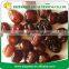 Good Quality Red Date/ Red Jujube