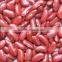 we are supply English red kidney beans with best price for sale