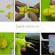 Cartoon Silicone Car Air Vent Phone Mount Holder for iPhone 7 plus Note 7 Car Stand Holder