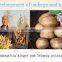 fertilizers for root fertilizer benefits root