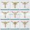 Sample card of TPU shoe decoration for lady