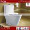 North America Washdown Toilet, One Piece Toilet Sanitary Ware Manufacturer,