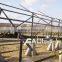 DC Solar Pump for Irrigation (5500W,50M head)