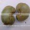 Raw Dried Cashew Nut/Cashew Nuts in Africa