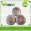 Import Chinese Garlic