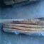 New crop burdock/highly qulity burdock/burdock root