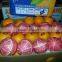 Orange Color Fresh Lemon citrus