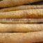 GMP Manufacture supply 100% Natural diosgenin wild yam extract