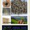 Factory price Gold Bulk Vermiculite wholesale