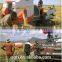 AGRIUNION rice harvest machine bean combine harvester