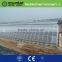 greenhouse equipment supply by shuiwang company